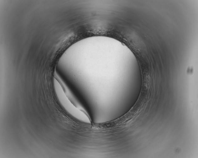 X0000090710697200708101506