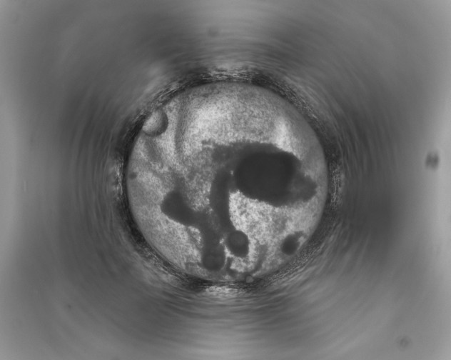 X0000090710699200708101506