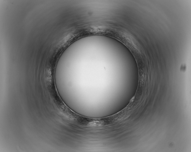 X0000090710700200708101506