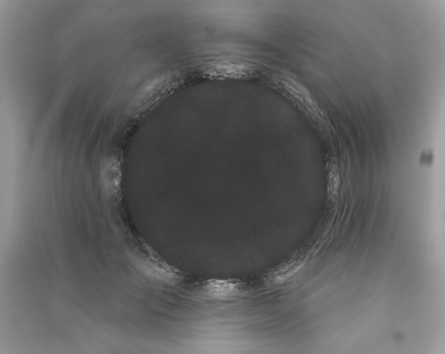 X0000090710701200708101506