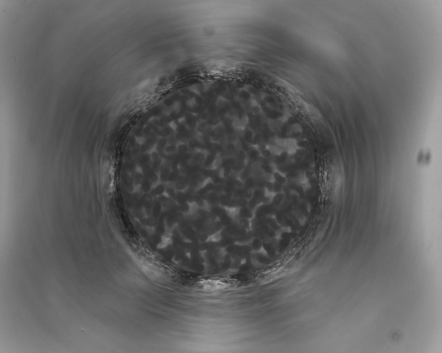 X0000090710703200708101505