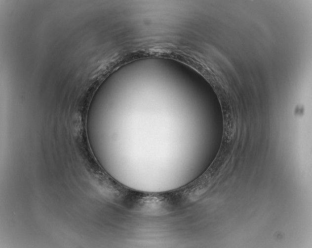 X0000090710704200708101505