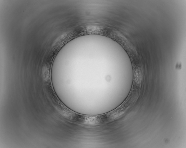 X0000090710705200708101505