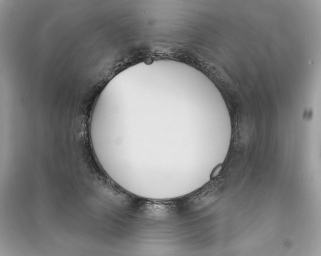 X0000090710706200708101505