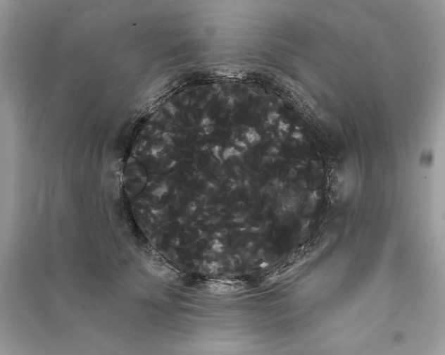 X0000090710707200708101505