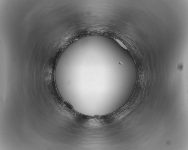 X0000090710708200708101505