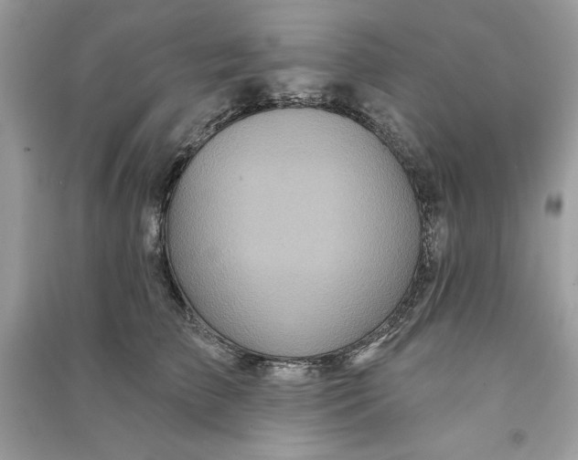 X0000090710709200708101505