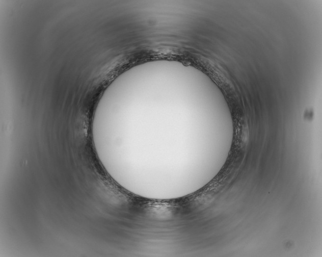 X0000090710710200708101505