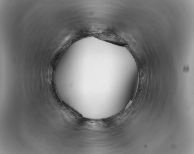 X0000090710712200708101505