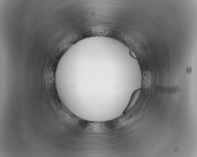 X0000090710713200708101505