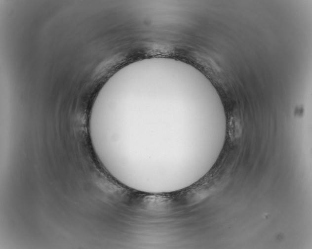 X0000090710714200708101505