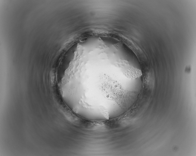 X0000090710715200708101505