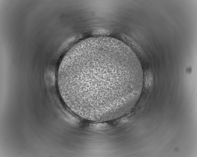 X0000090710716200708101505