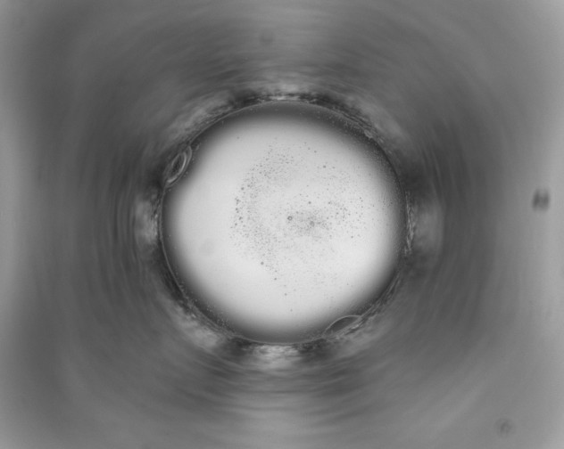 X0000090710719200708101505