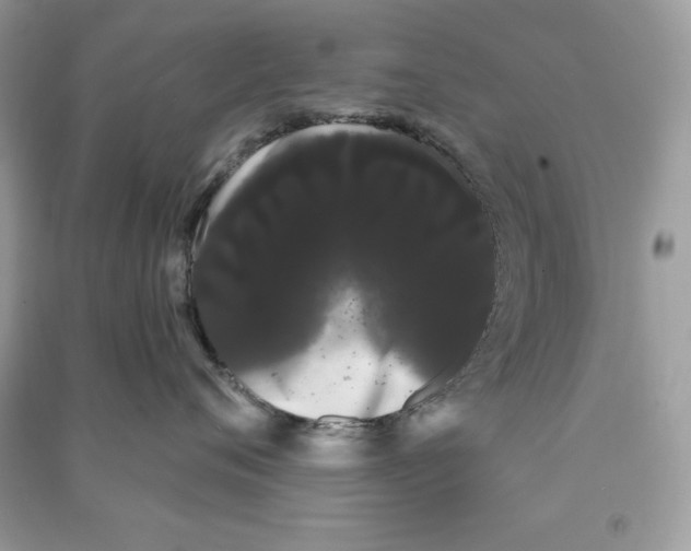 X0000090710720200708101505