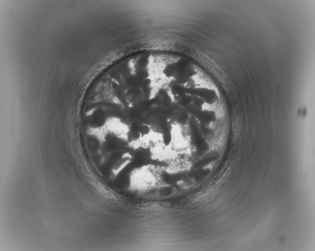 X0000090710721200708101505