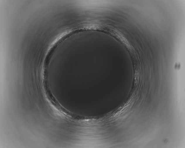 X0000090710722200708101505