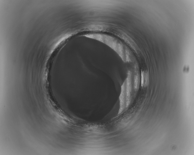 X0000090710723200708101505