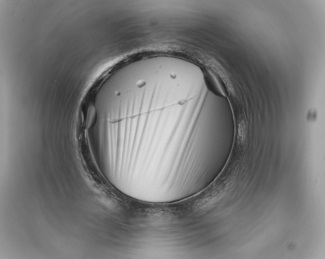 X0000090710724200708101505