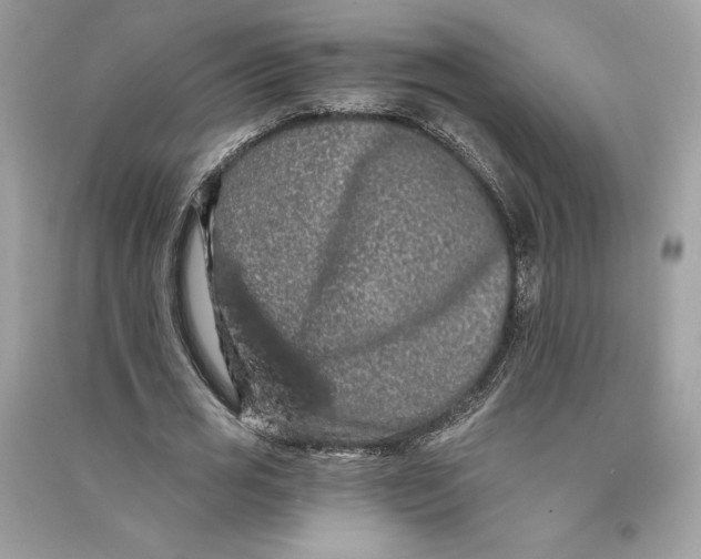 X0000090710725200708101505