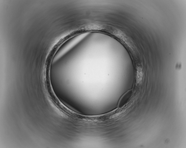 X0000090710726200708101505