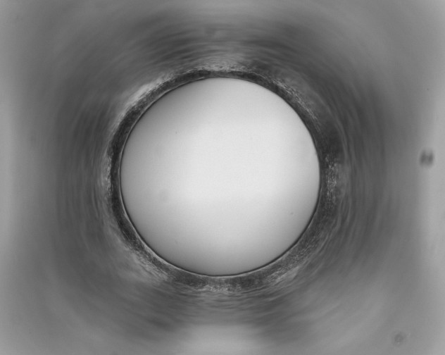 X0000090710727200708101505