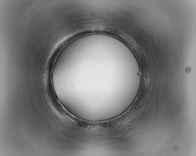 X0000090710728200708101505