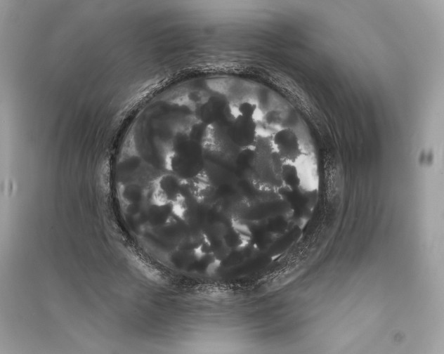 X0000090710729200708101505