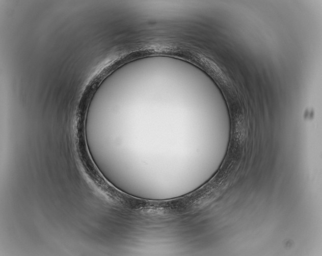 X0000090710730200708101505