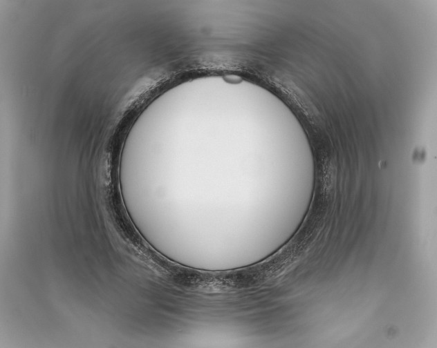 X0000090710731200708101505