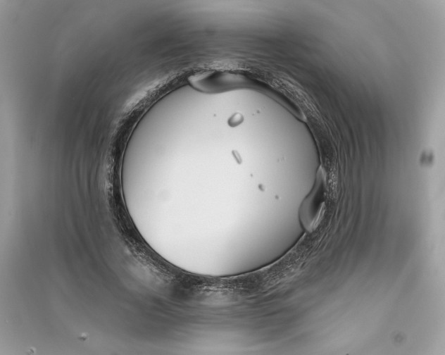 X0000090710732200708101505