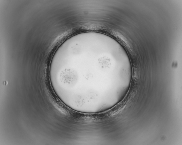 X0000090710733200708101505