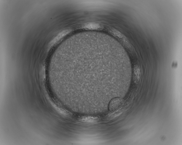 X0000090710734200708101505