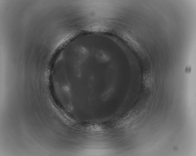 X0000090710735200708101505