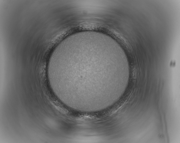 X0000090710737200708101505