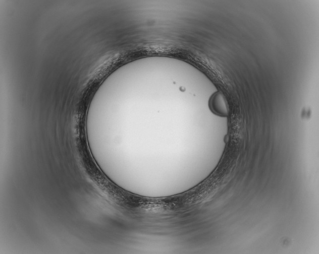 X0000090710738200708101505