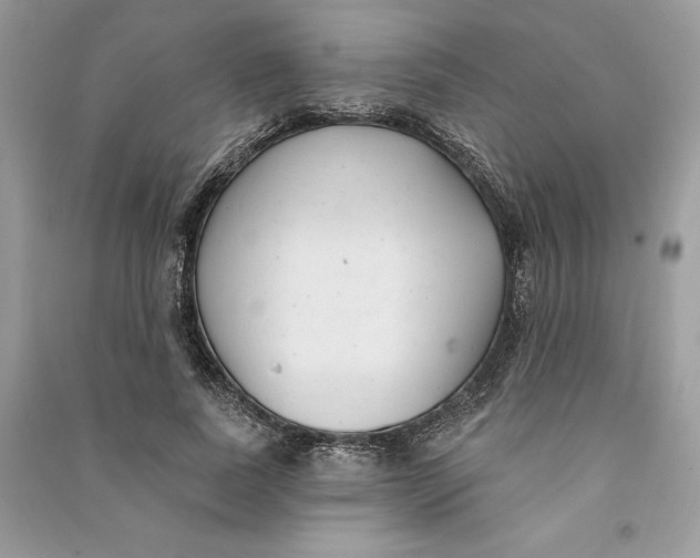 X0000090710739200708101505