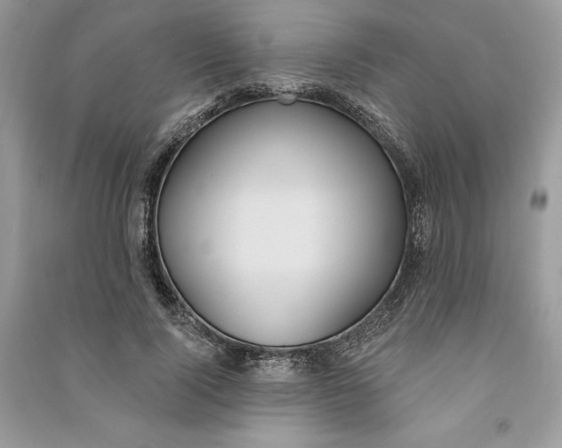 X0000090710740200708101505