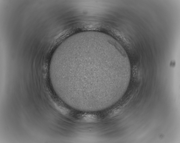 X0000090710741200708101505