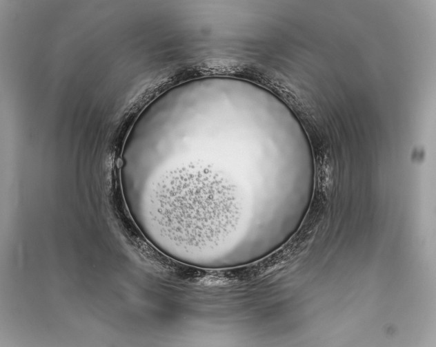 X0000090710742200708101505