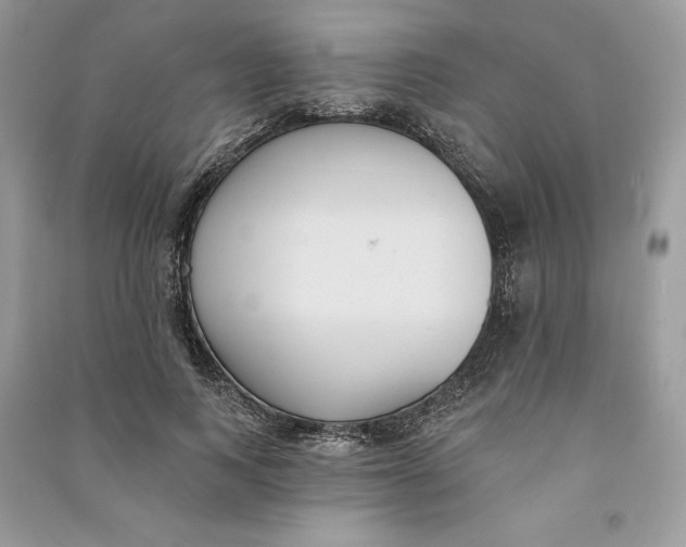 X0000090710743200708101505