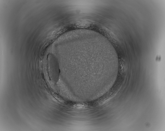 X0000090710745200708101505