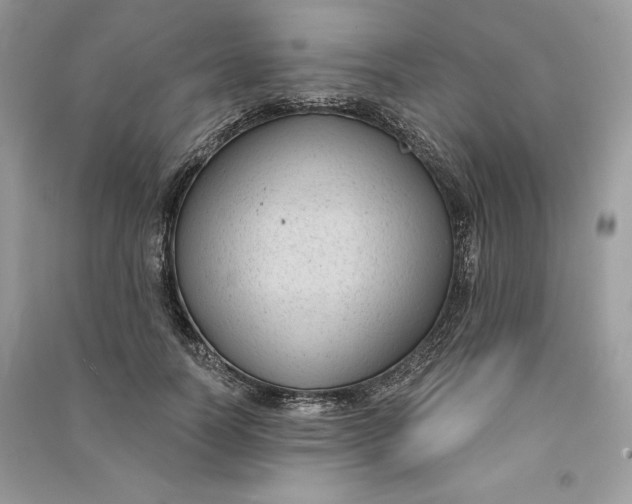 X0000090710746200708101505