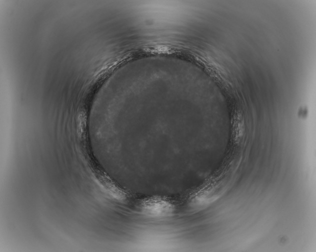 X0000090710747200708101505