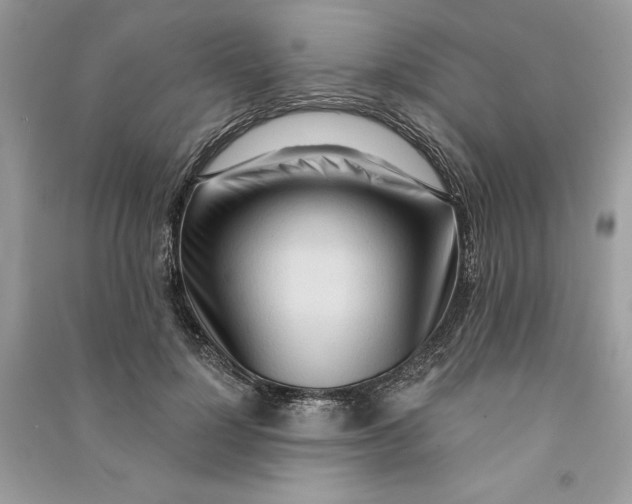 X0000090710748200708101505