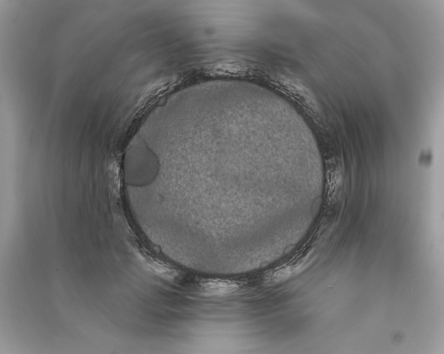 X0000090710749200708101505