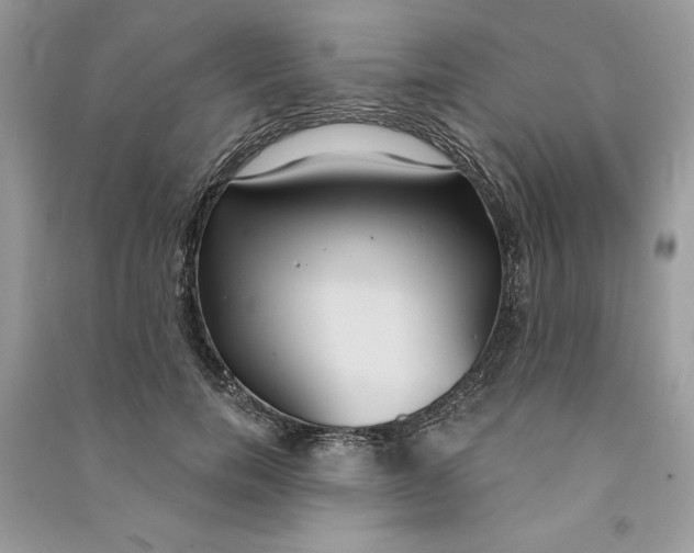 X0000090710750200708101505