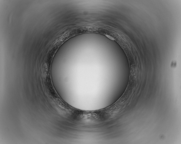 X0000090710752200708101505