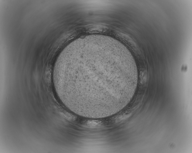 X0000090710753200708101505