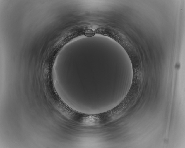 X0000090710754200708101505